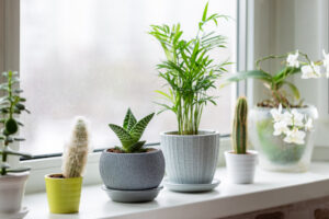 Künstliche Zimmerpflanzen in Töpfen auf einer Fensterbank